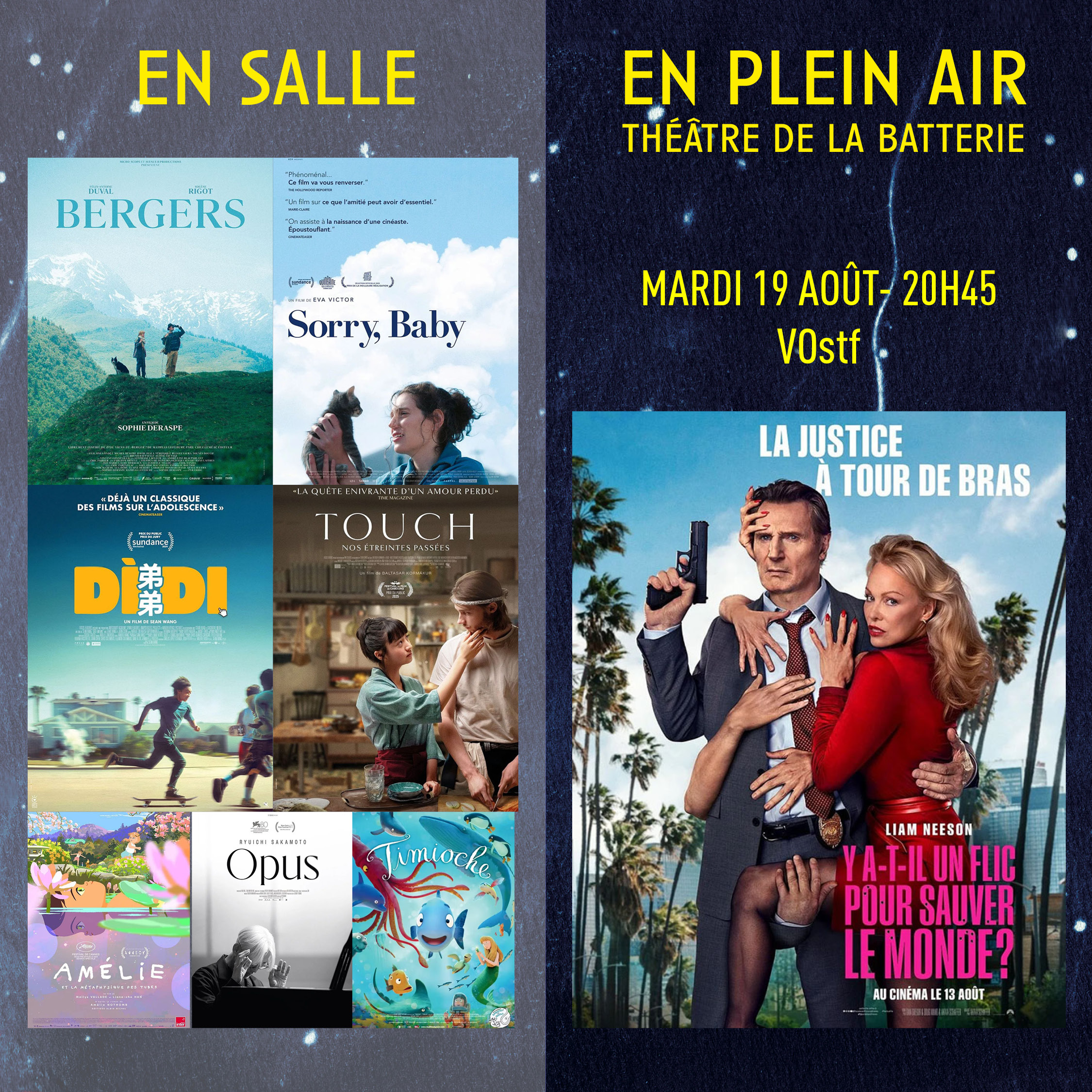 semaine 3 13 AU 19 affiches