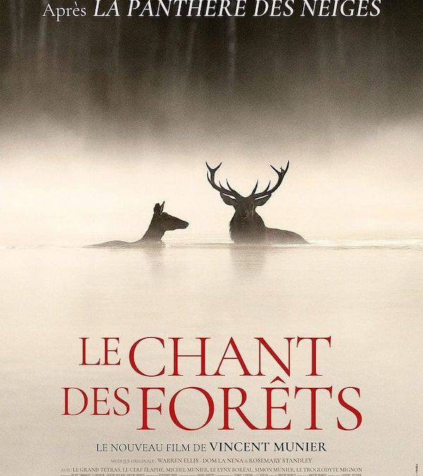 Avant-première du documentaire LE CHANT DES FORÊTS